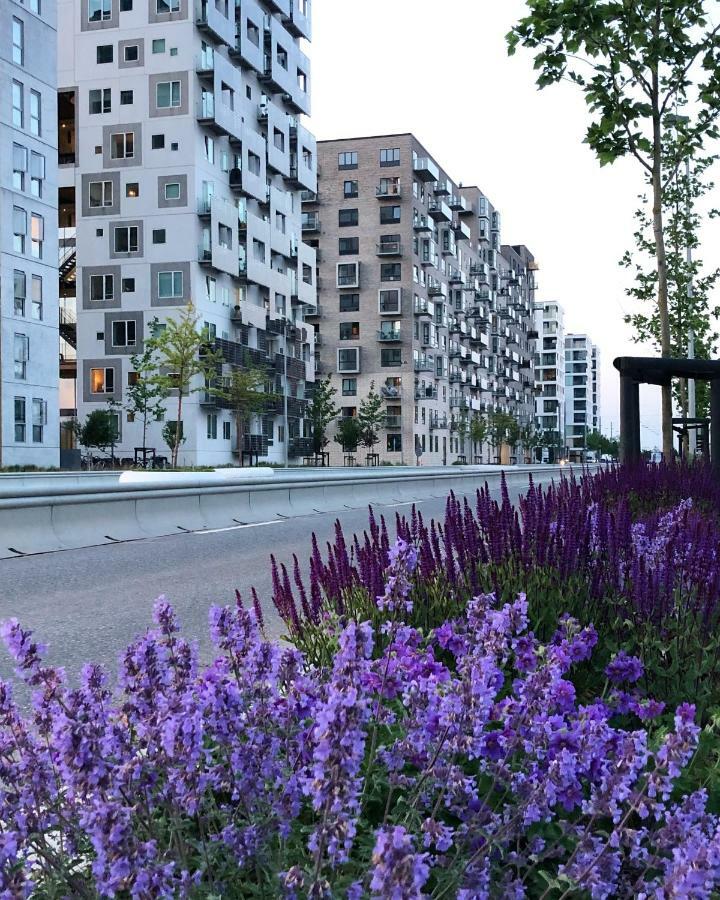 Ocean View Accommodatie bij particulieren *